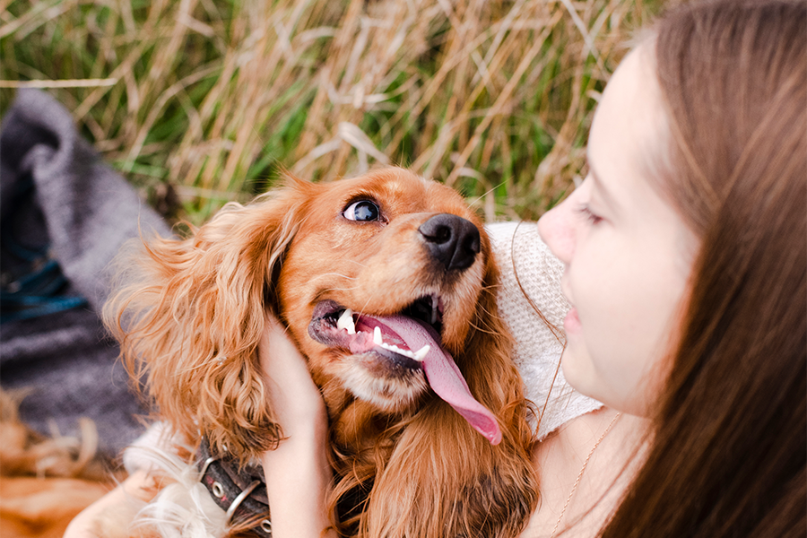 Diseñado por www.freepik.com